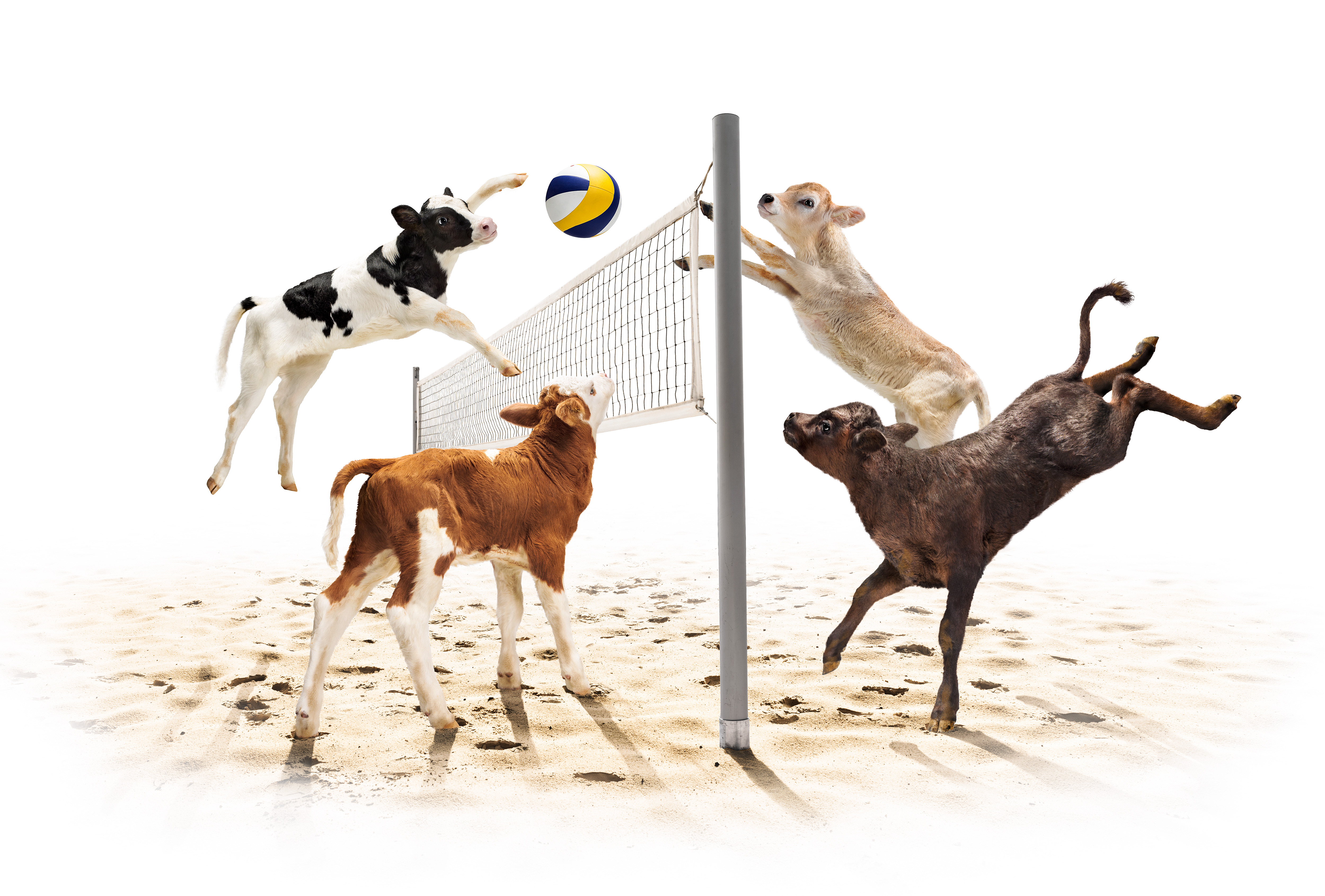 Volley