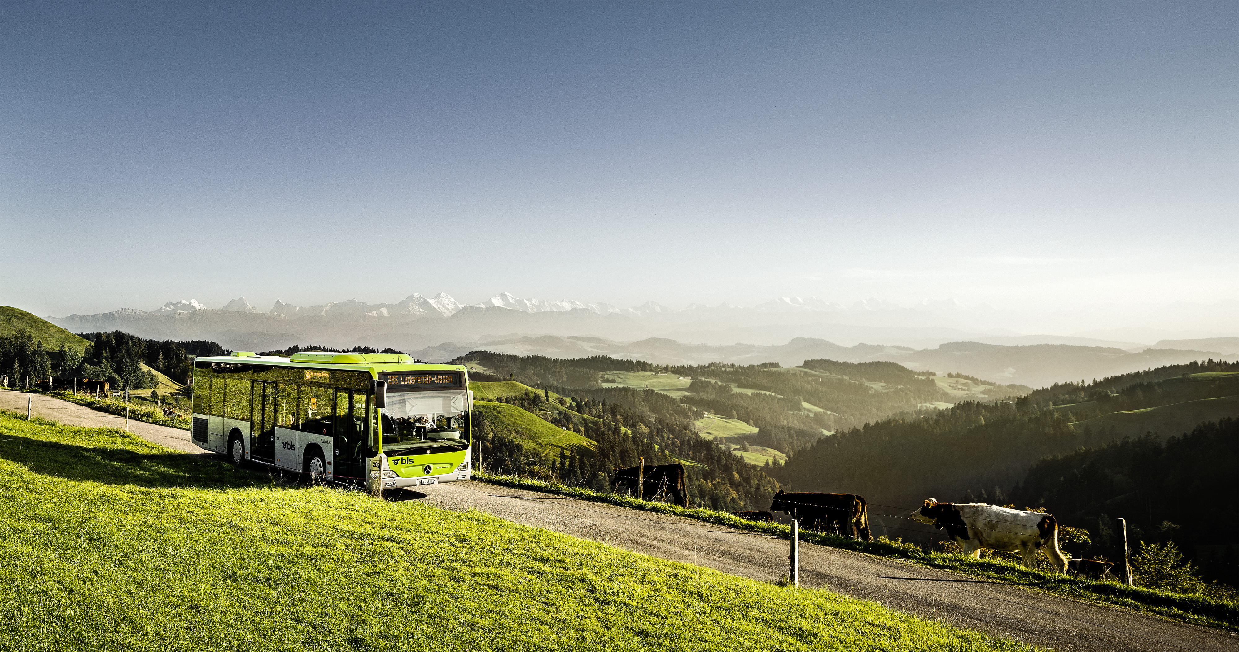 BLS Bus