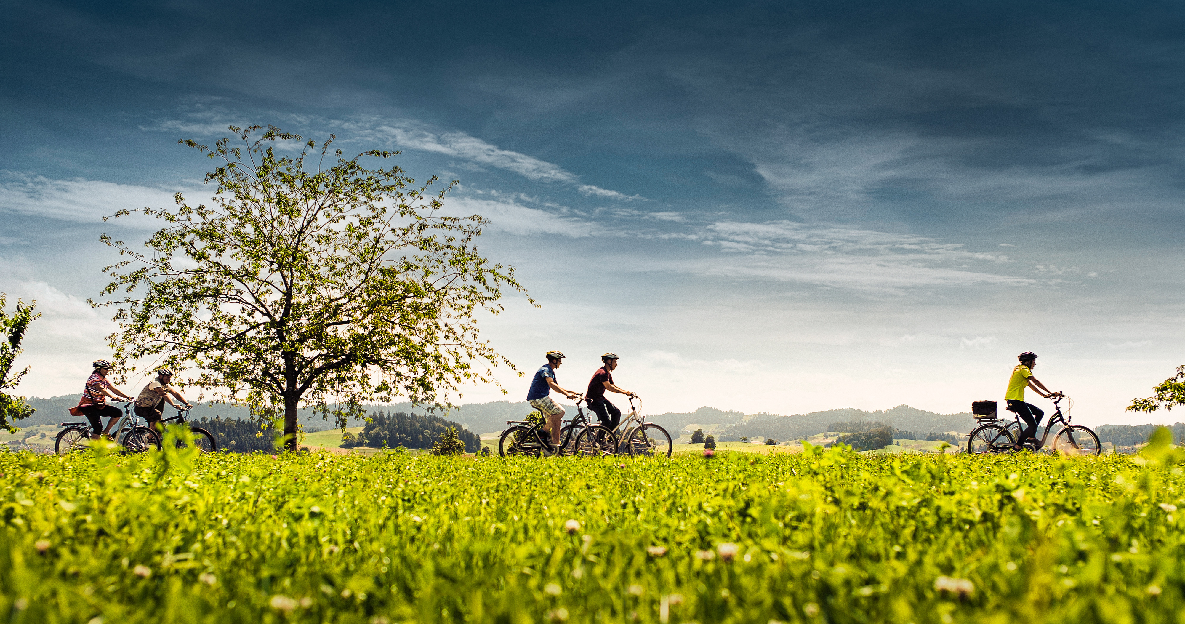 E-Bike