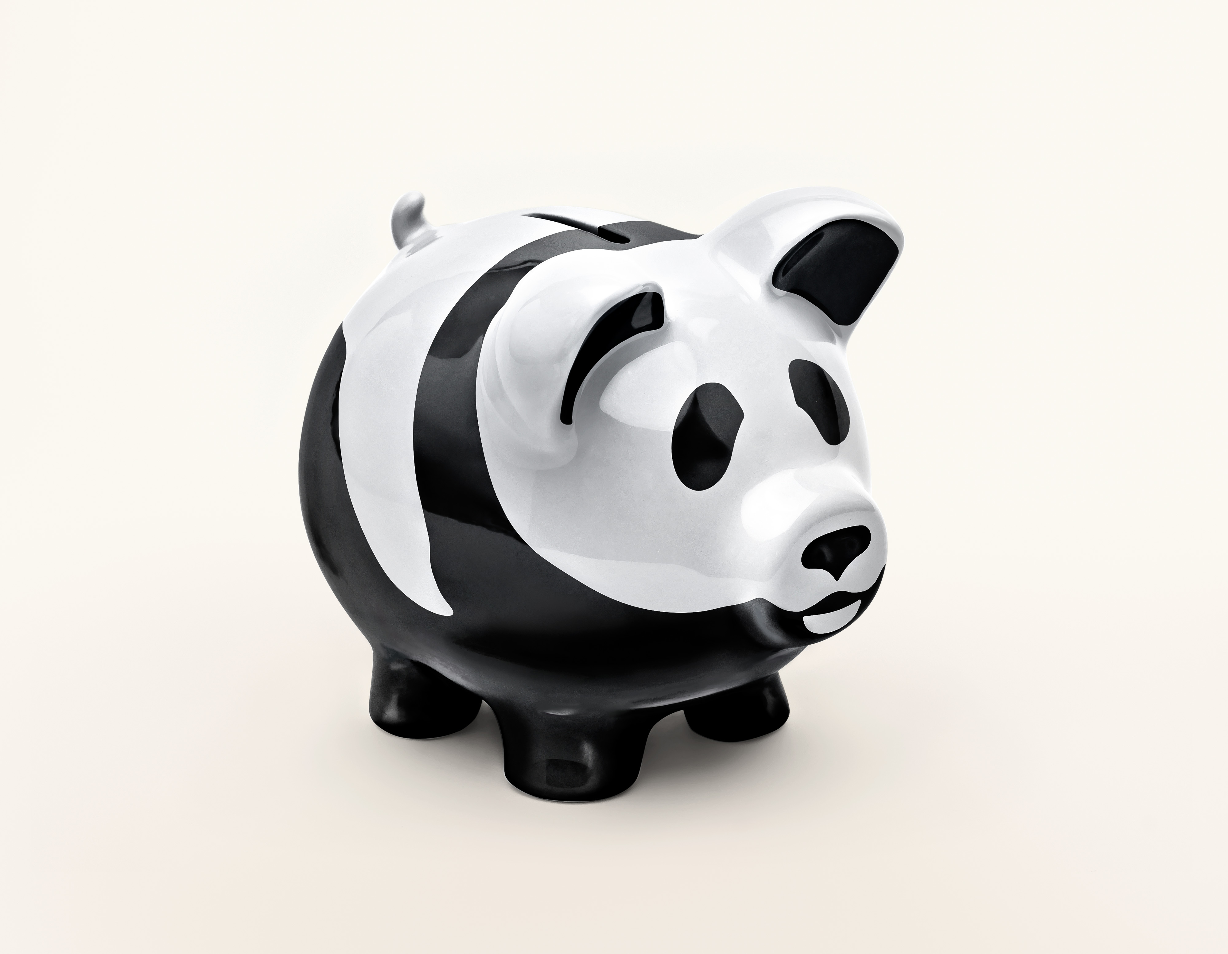 Panda Schwein