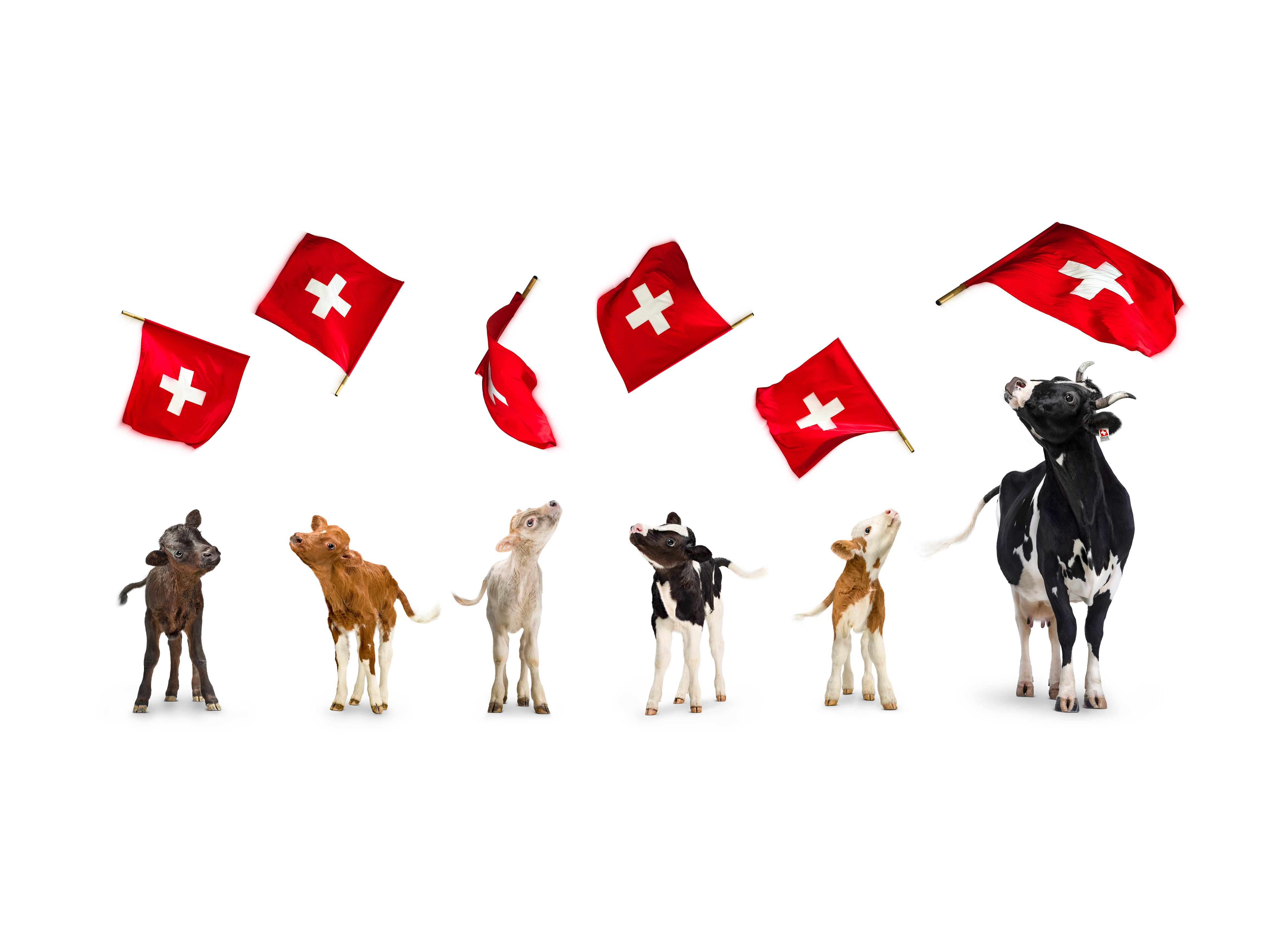 Milch 2016 4