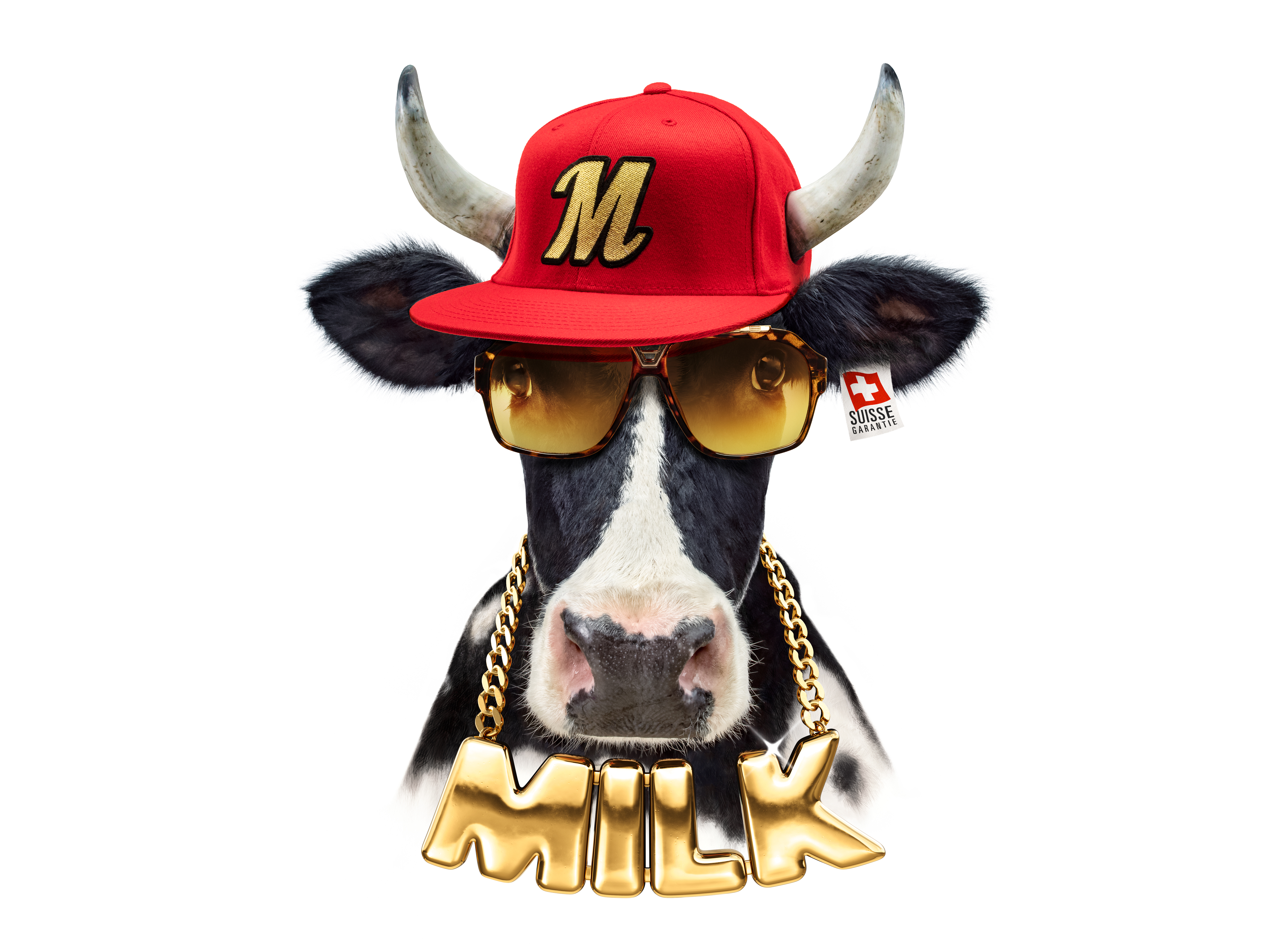 Milch 2016 6