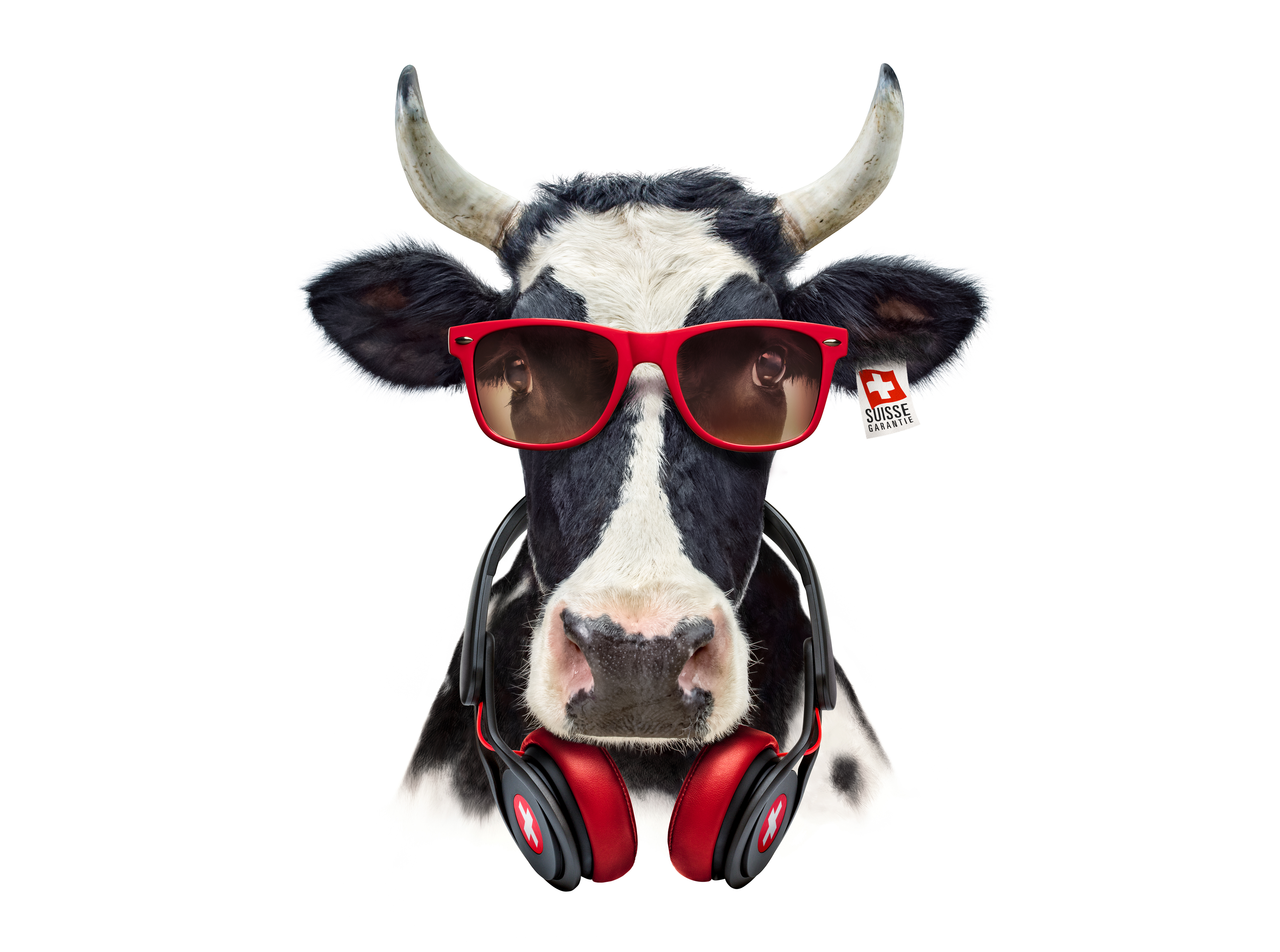 Milch 2016 7
