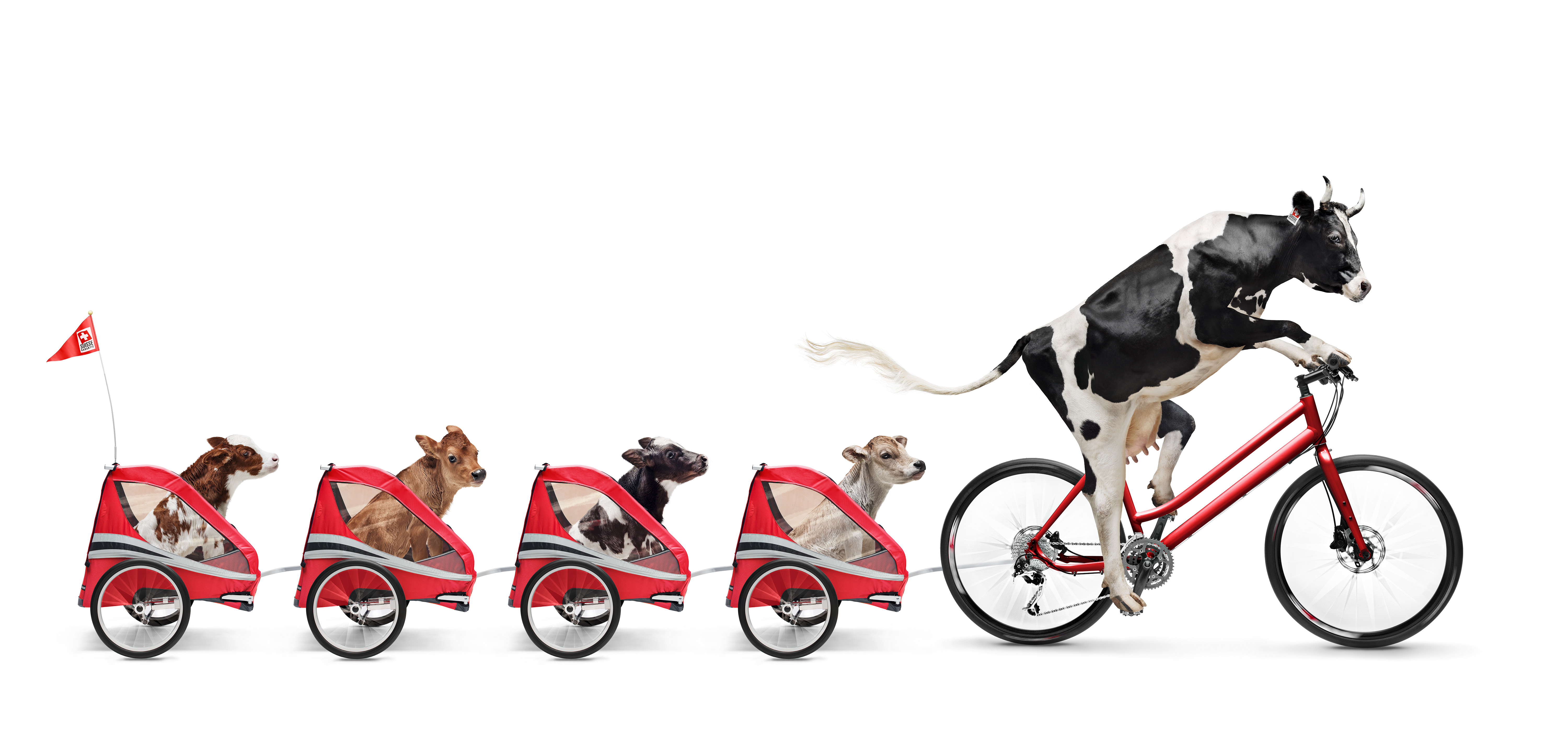 Veloanhänger